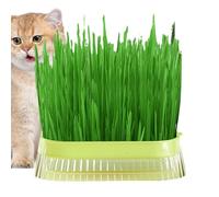 Cat Grass Planter, Cat Grass Planter, Cat Grass Plant Pot, Propagation Pot for Cat Sprouts, Hydroponic Plant Pot, Germination Tray for Cat Grass, Greenhouse Growing Box for Indoor Use