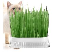 Cat Grass Planter | Cat Grass Planting Container - Hydroponic Cat Grass Planter, Soilless Culture Sprout Tray for Indoor Growing, Sprouting Trays with Hydroponic Growing System