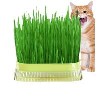 Cat Grass Planter for Indoor Cats - Cat Grass Planting Pot | Hydroponic Cat Grass Planter, Soilless Culture Sprout Tray for Indoor Growing, Sprouting Trays with Hydroponic Growing System