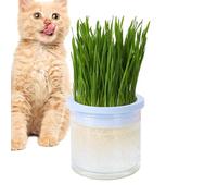 Cat Grass Planter - Germination Tray for Cats Indoor, Cat Grass Growing Kit | Transparent Hydroponic Cat Grass Cup, Multipurpose Cat Grape Plug, Pet Accessories for Cat