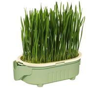 Cat Grass Planter - Grass Planting Box | Soilless Sprouting Tably Box | Planter Box Elephant Shape | Indoor Cat Grass Pot Kit for Home, Cute Elephant Shape Belly Plant Container for Pets