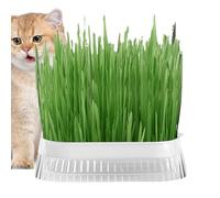Cat Grass Planter - Household Cat Grass Box | Pet Cat Sprout Dish Growing Pot, Hydroponic Plant Pot, Cat Grass Germination Dish, Greenhouse Grow Box for Indoor