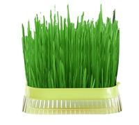 Cat Grass Planter, Soilless Cat Grass Grower, Hydroponic Cat Grass Planter, Soilless Culture Sprout Tray for Indoor Growing, Sprouting Trays with Hydroponic Growing System