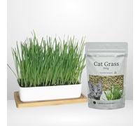Cat Grass Seeds 150g + Luxury Ceramic Planter and Bamboo Wooden Base - 2 Item Bundle - Garden Lawncare Guy