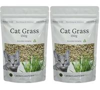 Cat Grass Seeds UK for Sowing - Grow Fresh Grass Indoor or Outdoors - Fast Growing - (Oat, 150g) (Pack of 2)