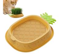 Cat Grass Tray, Germination Trays for Sprouts, Pineapple Design Seed & Germination Trays, Wheatgrass Pot, Earth , Nursery Cat Plant for Indoor Cats