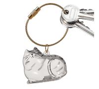 Cat Hair Collection Box - Transparent Portable Storage Container, Compact Container, Pet Grooming , Durable, Lightweight Design, Hygienic Hair Holder, Storage Solution