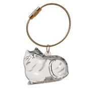 Cat Hair Holder Keychain,Cat Hairs Storage Bottle,Pet Hair Storage Keyring,Pet Keepsake Collector Memorial Keychain With Ring