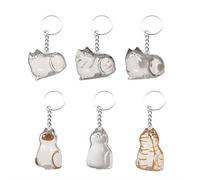 Cat Hair Holder Keychain for Pet Memorial, Pet-Hair Storage Keyring,Trans-parent Cats Shape Hairs Storage Box, Portable Keyring StorageCollection,Fur Keepsake Capsule Collector Memorial Gift (6Pcs)