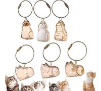 Cat Hair Holder Keychain, Pet Furs Keepsake Bottle, Cat Fur Keepsake Capsule Pendant, With Keyring For Collecting Pet Hair Memorial Gifts, Cat Lovers (6 PC)(12-Piece)