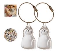 Cat Hair Keepsake Keychain for Ferret Fur Mini Memorial Bottle for Collecting Hairs Pet Memory Gift for Pet Lovers (Style B)