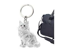 Cat Hair Keychain - 1.57 Inch Clear Keepsake Keychain | Pet Keepsake Pendant - ABS 10G Cat Shape Memory Holder for Backpack, Wallet, Schoolbag