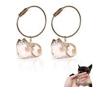 Cat Hair Keychain Storage Bottle, 2025 New Pet Hair Key Chain Pendant, Adorable Cat Hair Keepsake Bottles, Pet Fur Keepsake Keyring for Collecting Cats Fur - Creative Gifts for Cat Lovers (C)