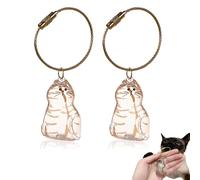 Cat Hair Keychain Storage Bottle, 2025 New Pet Hair Key Chain Pendant, Adorable Cat Hair Keepsake Bottles, Pet Fur Keepsake Keyring for Collecting Cats Fur - Creative Gifts for Cat Lovers (D)