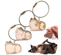 Cat Hair Memorial Capsule Keychain - Transparent Pet Fur & Whisker Storage Keepsake, Portable Cat Shaped Souvenir Bottle Box, Pet Loss Remembrance Gift for Cat Lovers, for Loss of Furry Friend
