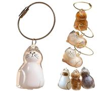 Cat Hair Memorial Capsule Keychain - Transparent Pet Fur & Whisker Storage Keepsake, Portable Cat Shaped Souvenir Bottle Box, Pet Loss Remembrance Gift for Cat Lovers, for Loss of Furry Friend