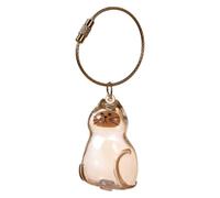 Cat Hair Storage Bottle,Pet Hair Collection Container Keychain,Transparent Cat Hair Storage Box Pendants,Pet Memorial Gifts Accessories