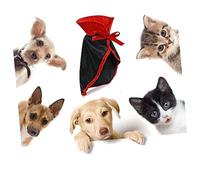 Cat Halloween Costume Red Pet Cape Comfortable Pet Apparel for Cosplay Parties and Holiday Photo Shoots Accessory for Cats to Stand Out During Halloween