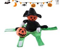 Cat Halloween Costumes Pumpkin Riding Novelty Dressing up Clothes
