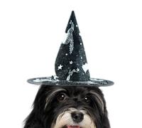 Cat Halloween Hat,Witch Dog Costume | Mesh Headwear with Adjustable Strap Holiday-themed Cosplay for Thanksgiving Outdoor Party