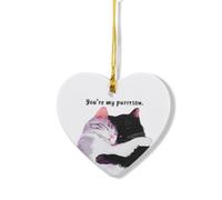 Cat Hanging Ornament Christmas Tree Couple Birthday Anniversary Valentines Day Gifts for Her Girlfriend Wife Fiancee Gf Present Holiday Ornaments Cat Lover Xmas Ornament Funny Romantic Gift Ideas