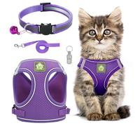 Cat Harness and Lead Set,Adjustable Reflective Stripe Cat Kitten Walking Vest with Leash Cats Collar,Escape Proof Soft Mesh Vest Harness and Lead for Small Medium Cats Pets Walking