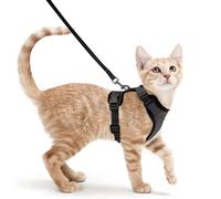 Cat Harness and Lead Set, Escape Proof Kitten Harness with Leash, Metal Ring, Lightweight Soft, Reflective Adjustable Vest for Small Cat Walking Travel XS, Black