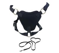 Cat Harness And Lead Set For Walking, Escape Proof Cat Harness, Kitten And Leash, Lightweight Adjustable Vest Harnesses For Cats, Dogs, Black kitten and lead set Pet vest