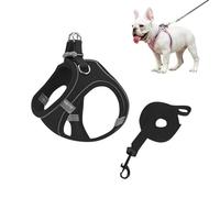 Cat Harness and Leads Set, 2025 Escape Proof Cat Harness with Leash, Lightweight Soft, Reflective Adjustable Vest, Cat Leash for Small Cat Dogs Walking Travel (Black, XXXS)