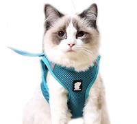 Cat Harness and Leads,Ultra-Light Pet Harness Breathable Soft Mesh Walking Vest Harness for Cats (L, Turquoise Green)