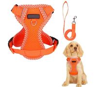 Cat Harness and Leash Escape Proof Harness for Kitten Puppy Adjustable Breathable Cats Dog Easy Walk Seatbelt Small, Orange