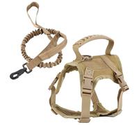 Cat Harness and Leash Escape Proof Mesh Comfort Cat Vest Harness with Handle & Personalized Patches Adjustable Soft Pet Leash for Walking Outdoor