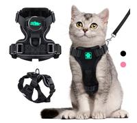 Cat Harness and Leash for Walking,Airtag Cat Harness and Leash Set with Integrated Hidden type Air Tag Holder,Escape Proof Reflective Adjustable Vest Harnesses with Apple Air Tag Case for Cats,Puppies