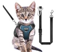 Cat Harness and Leash for Walking Escape Proof Soft Adjustable Cat Leash Breathable Honeycomb Structure Comfortable Vest Easy to Wear Kitten Harness for Outdoor Travel, Honeycomb Blue, XXS