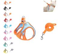 Cat Harness and Leash Set - Adjustable Soft Mesh Vest for Outdoor Cats, Escape Proof No Choke Design with Reflective Safety Strips, Breathable & Easy to Wear (C)