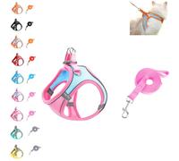 Cat Harness and Leash Set - Adjustable Soft Mesh Vest for Outdoor Cats, Escape Proof No Choke Design with Reflective Safety Strips, Breathable & Easy to Wear (F)