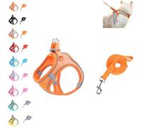 Cat Harness and Leash Set - Adjustable Soft Mesh Vest for Outdoor Cats, Escape Proof No Choke Design with Reflective Safety Strips, Breathable & Easy to Wear (A)