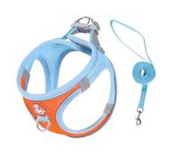 Cat Harness and Leash Set Escape Proof, Small Kitten Harness Emotional Support Cat Vest, Pet Vest Harness for Cats Small Dogs Puppies Walking and Travel (Blue Orange,M)
