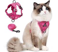 Cat Harness and Leash Set for Kitten, Upgraded Escape Proof Adjustable Vest with Lead for Small Cat Outdoor Walking, Soft Breathable Mesh Jacket with Reflective Stripes for Night… (S, Rose Pink)