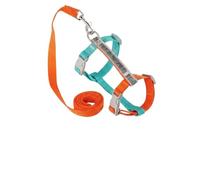Cat Harness and Leash Set, H-shaped Adjustable Anti Escape Reflective Cat Harness, 1.5cm Strap Nylon for Outdoor Adventures