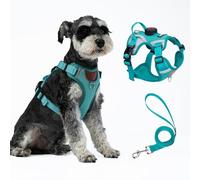 Cat Harness and Leash Set With AirTag Holder, Escape Proof Adjustable Kitten Vest with Lead for Large Cat Fat Small Dog Puppy Walking, Soft Breathable Mesh Jacket with Reflective Strips XL, Teal Blue