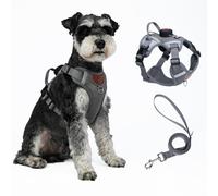 Cat Harness and Leash Set With AirTag Holder, Escape Proof Adjustable Kitten Vest with Lead for Large Cat Fat Small Dog Puppy Walking, Soft Breathable Mesh Jacket with Reflective Strips XL, Gray