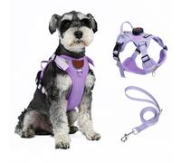 Cat Harness and Leash Set With AirTag Holder, Upgraded Escape Proof Adjustable Kitten Vest with Lead for Large Cat Fat Small Dog Puppy Walking, Soft Breathable Mesh Reflective Jacket Vest XL, Purple