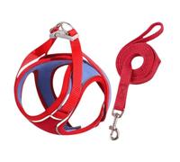 Cat Harness Design for Outdoor Cats, Leashes | Escape Proof Kitten Harness Adjustable, Easy to Wear Cats, Comfortable Cat Vest For Walking, Indoor And Outdoor Activities