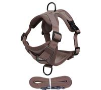 Cat Harness Escape Proof Soft Adjustable Anti-Escape Reflective | Reflective Cat Walking Harness Kitten Small Dogs Daily Outdoor Walking Safety Soft Pet Vest Adjustable Cat Harness Lead