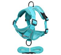 Cat Harness, Harness for Cats, High Performance Kitten Lead, Cat Harness and Lead Set for Walks with Kittens and Puppies, Escape Proof Kitten Harness, Reflective