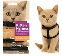 cat harness - kitten Elza black - 15-22cm - 20-30cm - leash 120cm - adjustable nylon - reflective - with carabiner