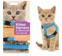 cat harness - kitten Elza blue - 15-22cm - 20-30cm - leash 120cm - adjustable nylon - reflective - with carabiner