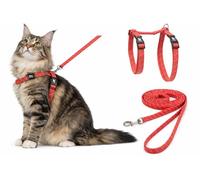 cat harness - large cat Elza coral - 22-32cm - 35-56cm - leash 120cm - adjustable nylon - reflective - with carabiner