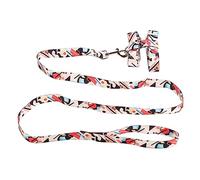 Cat Harness Leash Set, Adjustable Escape Proof Pet Vest, Nylon Dog Chest Harness with Traction Rope, I - Shaped Fashion Design for Outdoor Walking, Quick Release Buckle for Kittens (M)